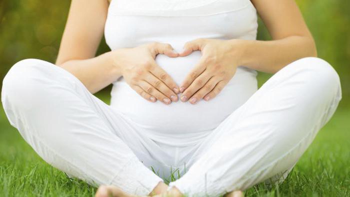 Uanset om det er muligt at drikke under graviditeten, er et kamille: fordel eller gavn, skade, egenskaber, instruktion og svar