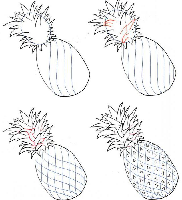 Detaljer om hvordan man tegner ananas